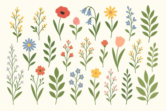 Set of cute hand drawn floral elements. Botanical collection of various wild flowers and leaves. Spring meadow plants like poppy, tulip, bluebell. Isolated vector design assets.