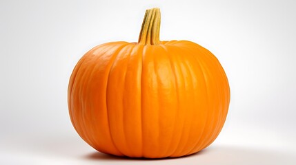 Isolated orange pumpkin for halloween thanksgiving fall harvest and autumn seasonal background 100 characters