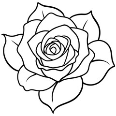 Rose line art vector
