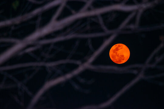 superluna 2020