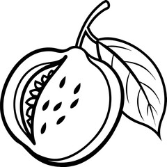 Sapodilla line art vector