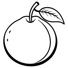 Sapodilla line art vector