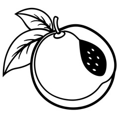 Sapodilla line art vector