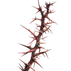 Thorny Branch with Sharp Spikes on a Transparent Background
