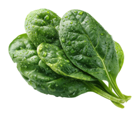 Fresh spinach leaves healthy food natural environment view green concept for nutrition