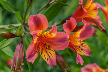 Bordeaux an der Garonne in Frankreich