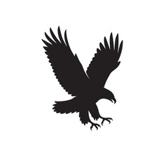 Powerful Eagle Descending with Open Wings and Sharp Talons Ready