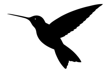 Hummingbird silhouette in flight