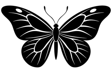 Black and white butterfly silhouette illustration