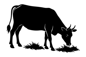 Silhouette of a cow grazing in a pasture