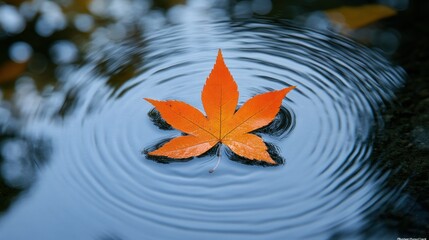 Vibrant orange leaf on water ripples