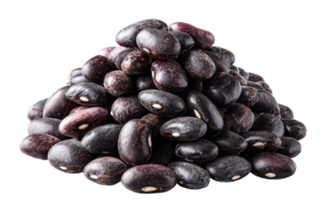 Harvesting black beans nutritional insights and recipes farm culinary guide
