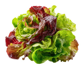 Fresh green and red lettuce salad preparation kitchen food top view