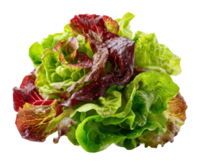Fresh green and red lettuce salad preparation kitchen food top view