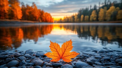 Autumn leaf on riverbank at sunrise