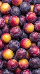 A variety of fresh plums, featuring rich purple and yellow colors, glistening with moisture, arranged closely together, highlighting their natural beauty and freshness