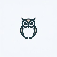Fototapeta premium Owl logo concept