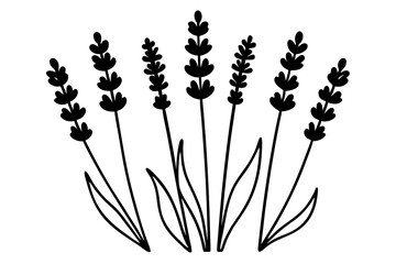 Elegant Lavender Flower Outline Vector Collection – Minimal Botanical Line Art

