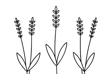 Elegant Lavender Flower Outline Vector Collection – Minimal Botanical Line Art

