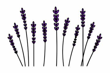 Elegant Lavender Flower Outline Vector Collection – Minimal Botanical Line Art

