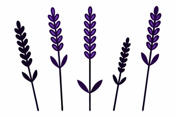 Elegant Lavender Flower Outline Vector Collection – Minimal Botanical Line Art

