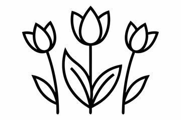Tulip Buds and Leaves – Minimal Outline Vector Floral Set

