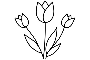 Tulip Buds and Leaves – Minimal Outline Vector Floral Set


