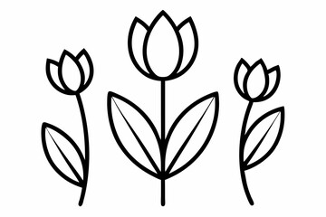 Tulip Buds and Leaves – Minimal Outline Vector Floral Set

