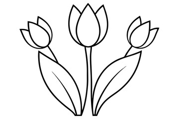 Tulip Buds and Leaves – Minimal Outline Vector Floral Set

