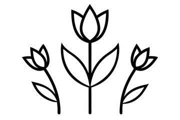 Tulip Buds and Leaves – Minimal Outline Vector Floral Set

