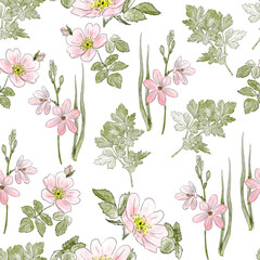 Pink rosehip flowers. Seamless pattern of pink flowers and green leaves on a white background.