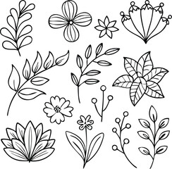 colourless floral decoration element set