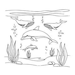 Obraz premium Whales and dolphins swimming underwater with bubbles and seaweed 