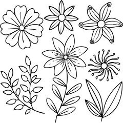 creative set of flower outline design