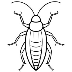 cockroaches line art vector
