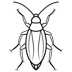 cockroaches line art vector