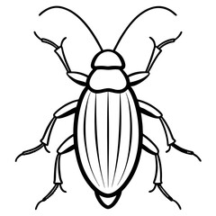 cockroaches line art vector