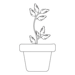 Potted plant in pot outline vector, Modern Line Art flat style Potted Plant with Abstract Shapes on White Background
