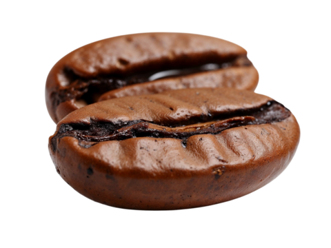 Two roasted coffee beans close up isolated on transparent background