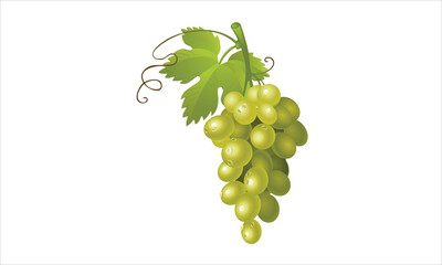Close-Up of Ripe Grapes with Natural Light
