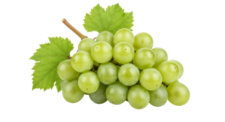 Isolated Bunch of Green Grapes