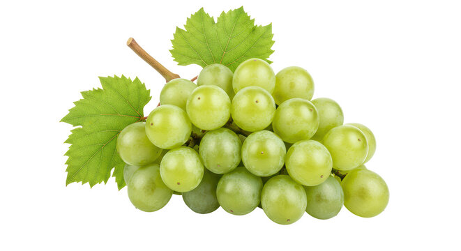 Isolated Bunch of Green Grapes