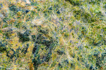 Serpentinite rock stone background