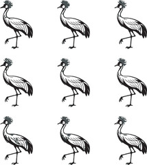 Fototapeta premium Nine Grey Crowned Cranes Black and White Illustration
