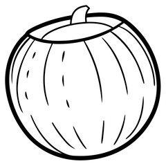 Coconut line art vector