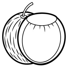 Coconut line art vector
