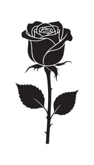 rose on white background silhouette