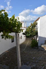 beautiful village of Monsaraz in Portugal Alentejo at the Guardiane River and the Alqueva Reservoir