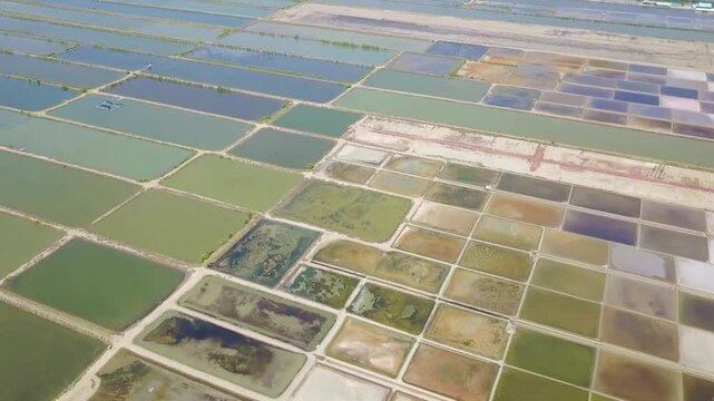Aerial View of Diverse Aquaculture Ponds