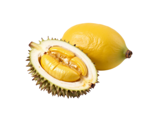 Ripe durian fruit halved with whole durian isolated on transparent background